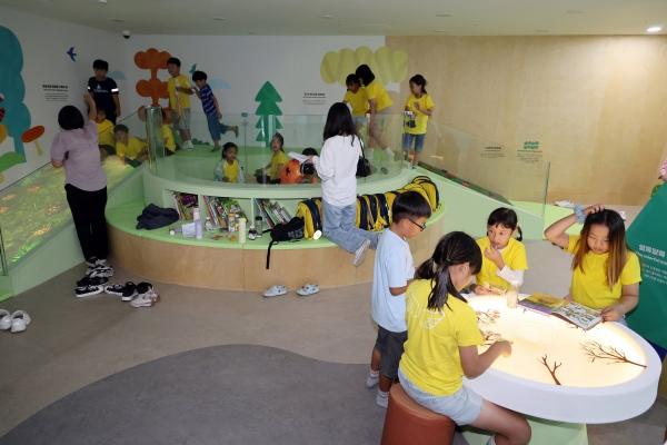 NSP통신- 사진 장흥군