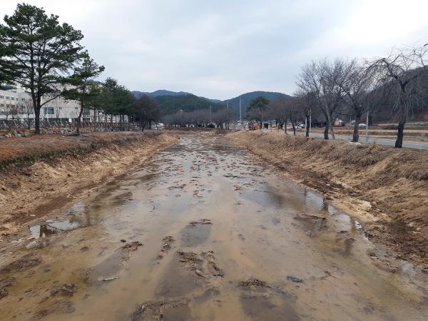 [NSP PHOTO]안동시, 하상정비 및 퇴적토 준설공사 등 하천 정비사업 실시