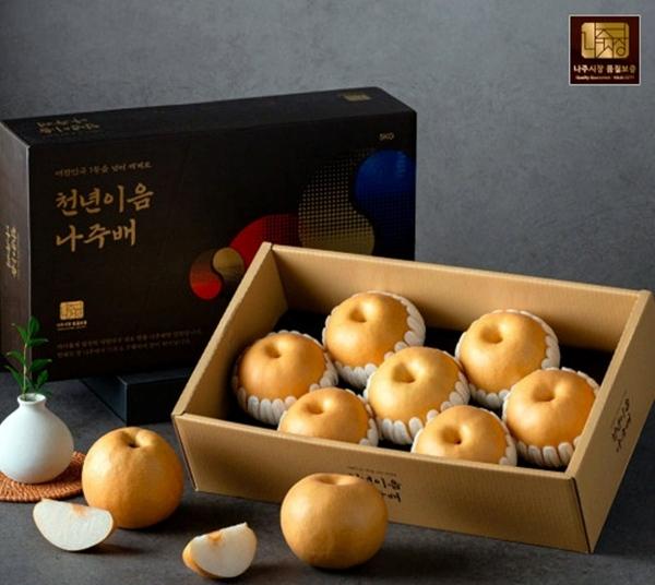 NSP통신- (사진 = 나주시)