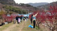 [NSP PHOTO]광양제철소 프렌즈 재능봉사단, 민·관 힘모아 홍매화길 살리기 나서