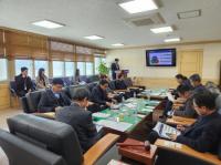 [NSP PHOTO]광양시, 가로수 수종 먼나무, 가시나무 선정