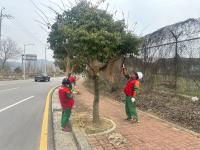 [NSP PHOTO]장흥군, 경관 조성 녹지관리 본격 돌입