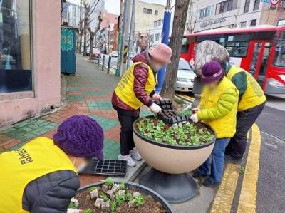 [NSP PHOTO]광양 광영동, 봄꽃 식재로 아름다운 거리 조성