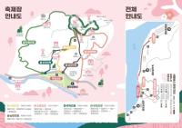 [NSP PHOTO]제23회 광양매화축제, 둔치주차장→매화축제장 가는 세 가지 방법
