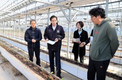 [NSP PHOTO]우승희 영암군수, 도포면 멜론 딸기 재배 농가 방문
