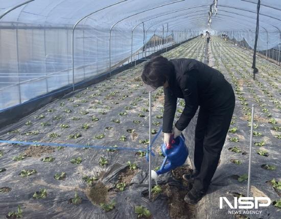 NSP통신-실증시험포 설치후 본격적인 실증시험 (사진 = 광양시청)