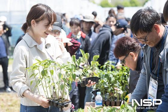 NSP통신-전북대학교가 지역민들에게 친환경 도시농업 체험 기회를 제공하기 위해 캠퍼스 텃밭을 분양한다. 텃밭 분양 신청은 오는 13일부터 19일까지다. (사진 = 전북대학교)