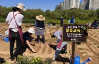 [NSP PHOTO]용인특례시, 어린이부터 전문가까지 도시농업 교육생 모집