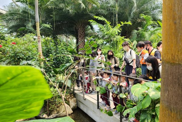 NSP통신-부천호수식물원 수피아를 단체방문한 아이들이 열대식물과 물고기를 관찰하고 있다. (사진 = 부천시)