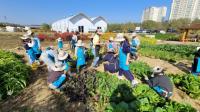 [NSP PHOTO]용인특례시, 시민농장 텃밭 2700명 몰려 뜨거운 열기