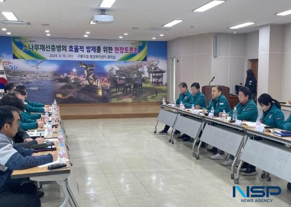 [NSP PHOTO]경북도, 소나무재선충병의 효율적 방제방안 마련 토론회 가져