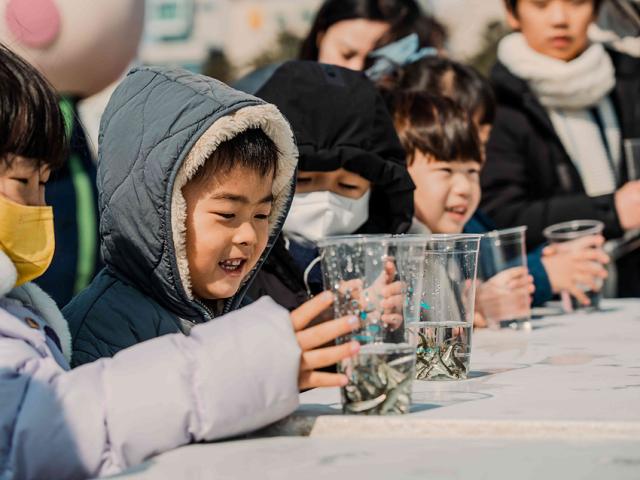 NSP통신-양양군에서 진행한 아기연어 보내기 체험 모습. (사진 = 양양군)