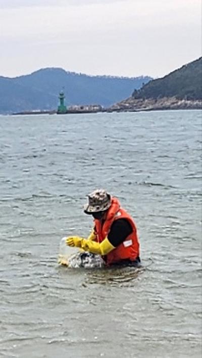 [NSP PHOTO]군산시, 선유도해수욕장 방사능 오염 검사 강화