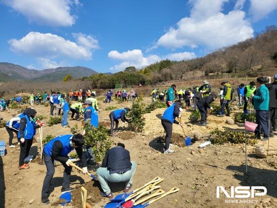 NSP통신-동백정원 동백나무 심고 비료 주기 (사진 = 광양시청)