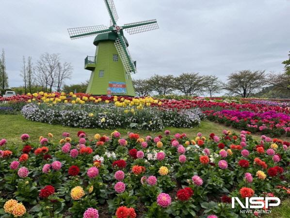 NSP통신-지난해 다알리아와 튤립이 만발한 네덜란드 정원 (사진 = 순천시)
