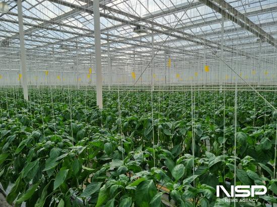 NSP통신-친환경농업 기반 구축 (사진 = 광양시청)