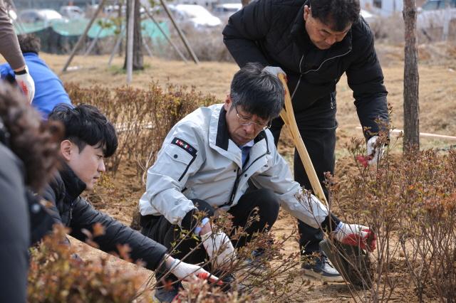 NSP통신-22일 통복동 일원에서 유승영 평택시의장과 의원들이 2024년 시민과 함께하는 나무심기 행사에 참여하고 있다. (사진 = 평택시의회)
