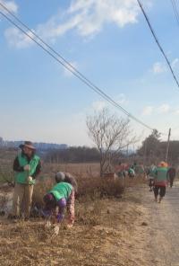 [NSP PHOTO]나주시, 버려진 땅이 사계절 꽃동산으로 재탄생 눈길