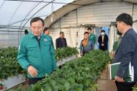 [NSP PHOTO]담양군, 일조량 부족 피해도 농업재해로 인정