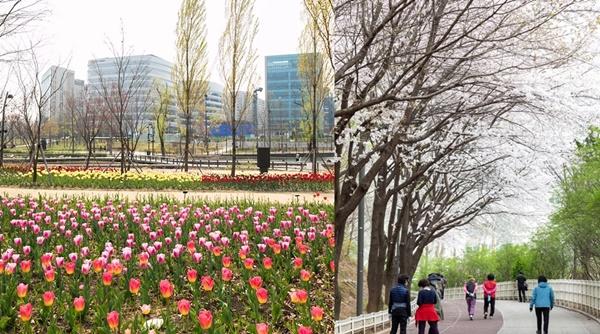 NSP통신-서울식물원 튤립존(좌)와우장산근린공원 산책로