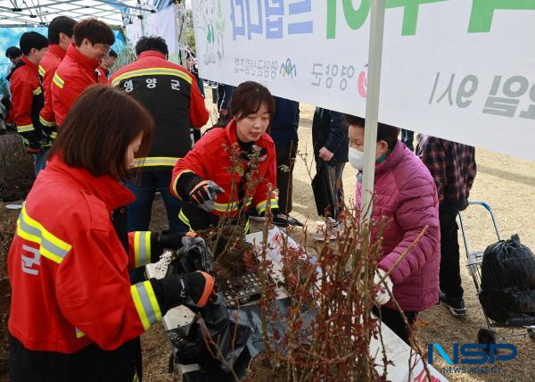 NSP통신-영양군은 29일 오전 9시부터 영양군청 잔디광장 주 행사장 외 입암면 등 5개 면사무소에서 제79회 식목일을 기념하여 나무나누어주기 행사 를 개최했다. (사진 = 영양군)