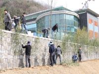 [NSP PHOTO]국립영천호국원, 봄 맞이 나무심기 행사 및 묘역 대청소 실시