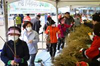 [NSP PHOTO]속초시, 나무 나눠주기 행사 개최