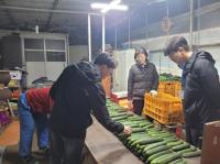 [NSP PHOTO]구례군, 흙 살리기 다시마액비 실증시험에서 탁월한 효과
