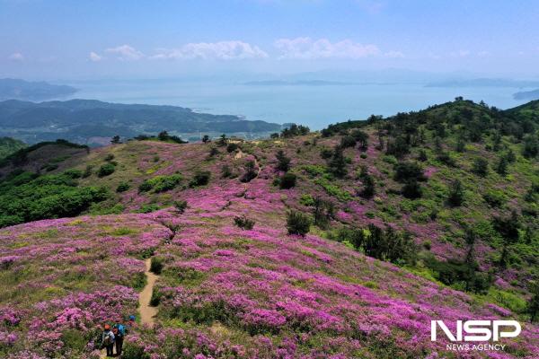 NSP통신-보성군, 제20회 일림산 철쭉문화행사 개최지 일림산 일원 (사진 = 보성군)