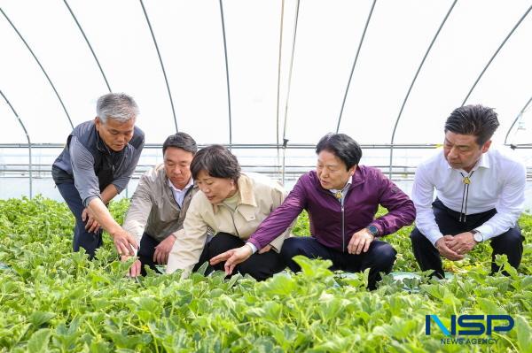 NSP통신-지난 14일 전국 참외 생산량의 80%를 차지하고 있는 참외 주산지 경북 성주군에 송미령 농림축산식품부 장관이 방문했다. (사진 = 성주군)