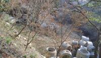 [NSP PHOTO]영암군 무기력 행정, 광암마을 거대 산림 등 훼손 키워