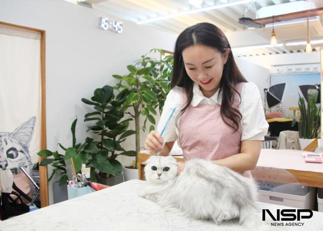 NSP통신-신서연 미오아카데미 원장이 고양이 미용을 하는 모습. (사진 = 김종식 기자)