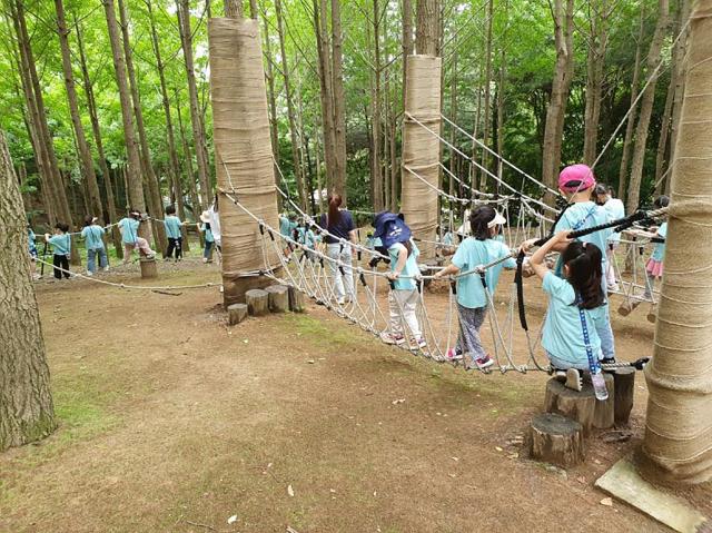 NSP통신-성남시 산림복지 프로그램의 하나로 지난해 6월 산성공원에서 진행한 유아 숲 체험 안녕 나의 친구. (사진 = 성남시)