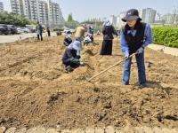 [NSP PHOTO]시흥시 함줄도시농업공원, 기능성 텃밭 정원으로