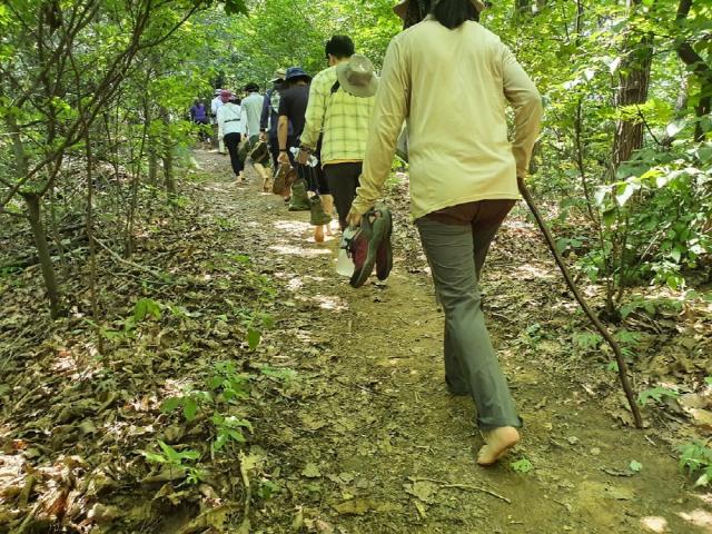 NSP통신-산림치유 프로그램 참여자들이 산림욕을 하고 있다. (사진 = 의왕시)