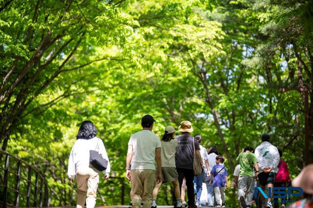 NSP통신-애기봉평화생태공원을 걷고 있는 시민들 모습. (사진 = 조이호 기자)