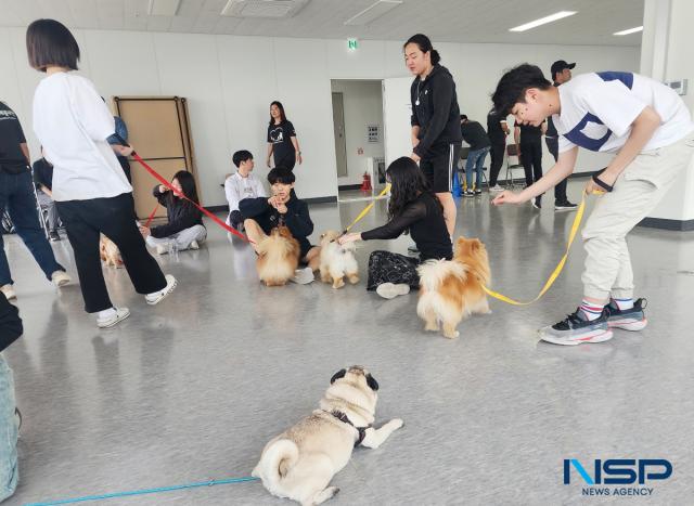 NSP통신-시흥 거북섬 아쿠아펫랜드에서 시흥시 요셉지도자 대안학교 학생들과의 나도 훈려사 프로그램 봉사 활동 모습. (사진 = 김종식 기자)