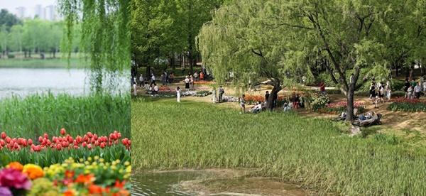 NSP통신-낡은 공간을 새롭게 단장한 2024고양국제꽃박람회 주제정원 (사진 = 고양시)
