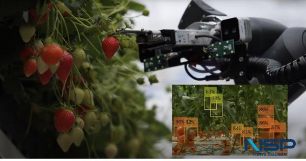 [NSP PHOTO]경북도, 농기계에 AI·IoT·로봇 적용하여 스마트 농업 기술선점