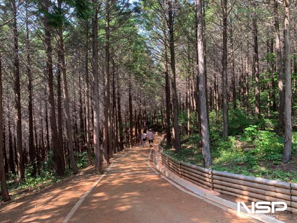 NSP통신-고흥 팔영산 편백 치유의 숲 황토 맨발길에서 몸과 마음을 힐링하세요! (사진 = 고흥군)