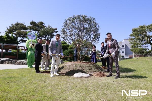 NSP통신-지난 3일 보성군청 광장에서 김철우 군수와 하승철 하동군수가 고차수를 식수하고 있다. (사진 = 보성군)