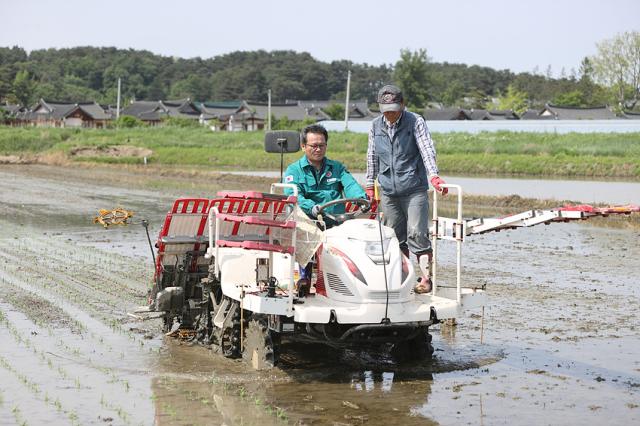 NSP통신-김홍규 강릉시장이 벼 모내기를 하고 있는 모습. (사진 = 강릉시)