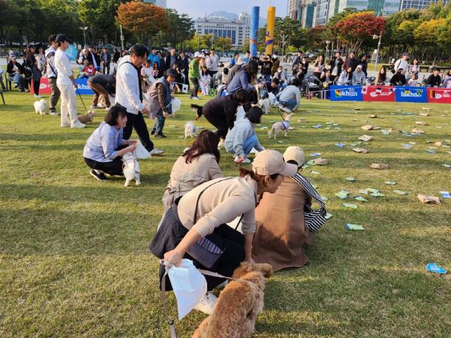 NSP통신-2023년 안양시가 개최한 반려동물 사랑나눔축제 현장. (사진 = 안양시)