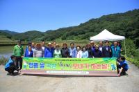 [NSP PHOTO]곡성군, 명품쌀 백세미 모내기 시연회 개최