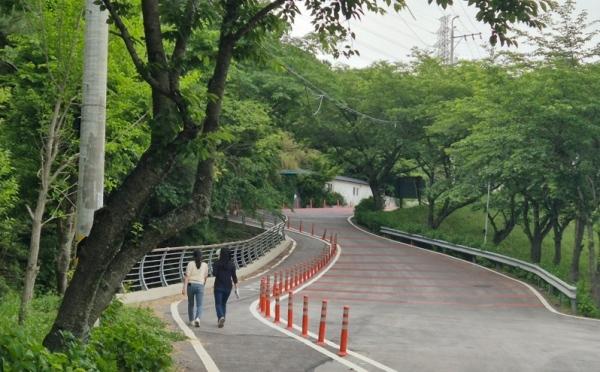 NSP통신- (사진 = 강진군)