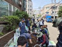 [NSP PHOTO]수원시, 권선1동에 함께 가꾸는 화분정원 시범거리 조성