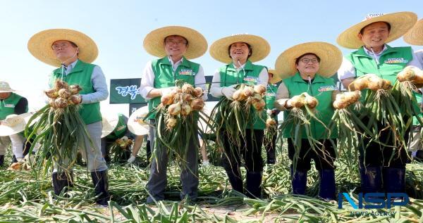 NSP통신-경상북도는 23일 문경시 영순면 공동영농단지 들녘에서 경북 농업대전환 공동영농 성과보고회 를 개최했다. (사진 = 경상북도)