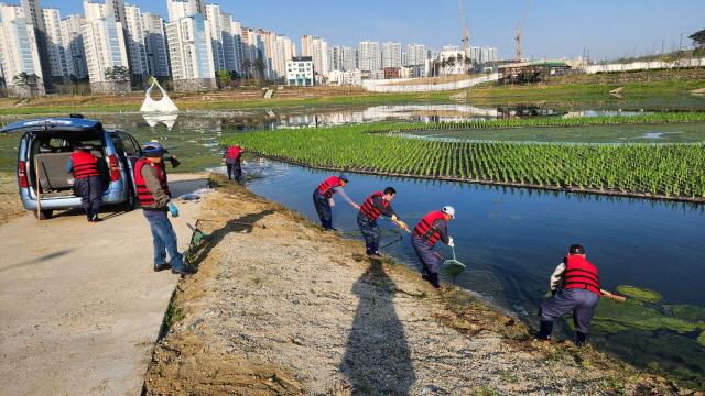 NSP통신-함박산중앙공원 저류지 녹조 제거 현장. (사진 = 평택시)