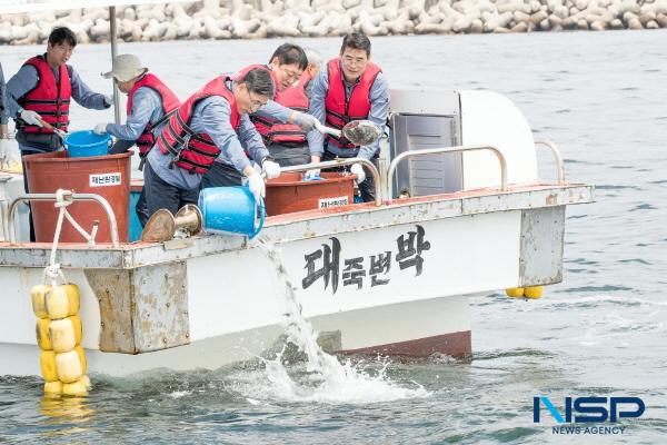 [NSP PHOTO]한울원전본부, 온배수 양식 어·패류 방류 행사 시행