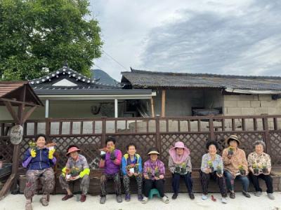 [NSP PHOTO]의성군 치매안심센터, 치유농업 프로그램 실시